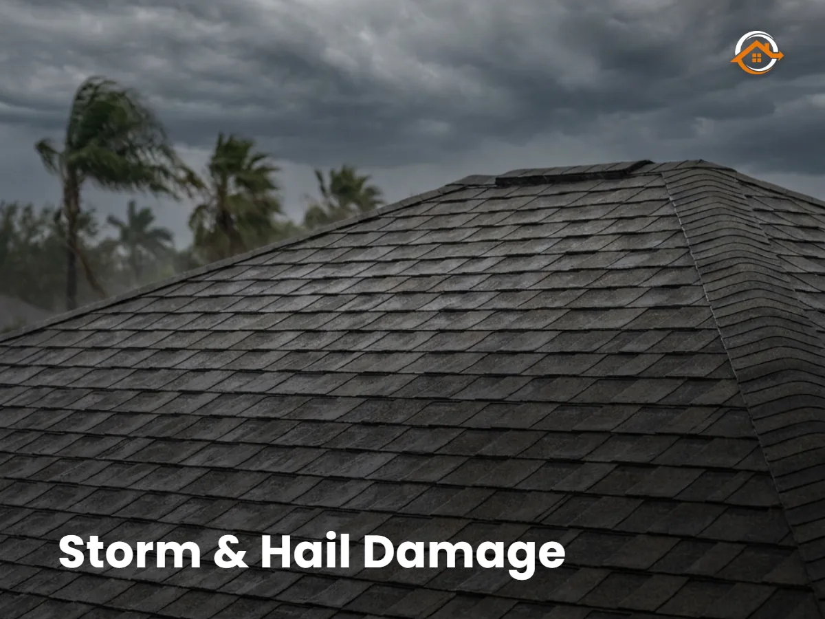 Storm clouds over a Tampa Bay roof